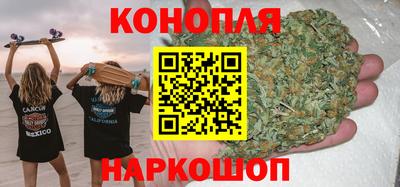 гидра Бердск