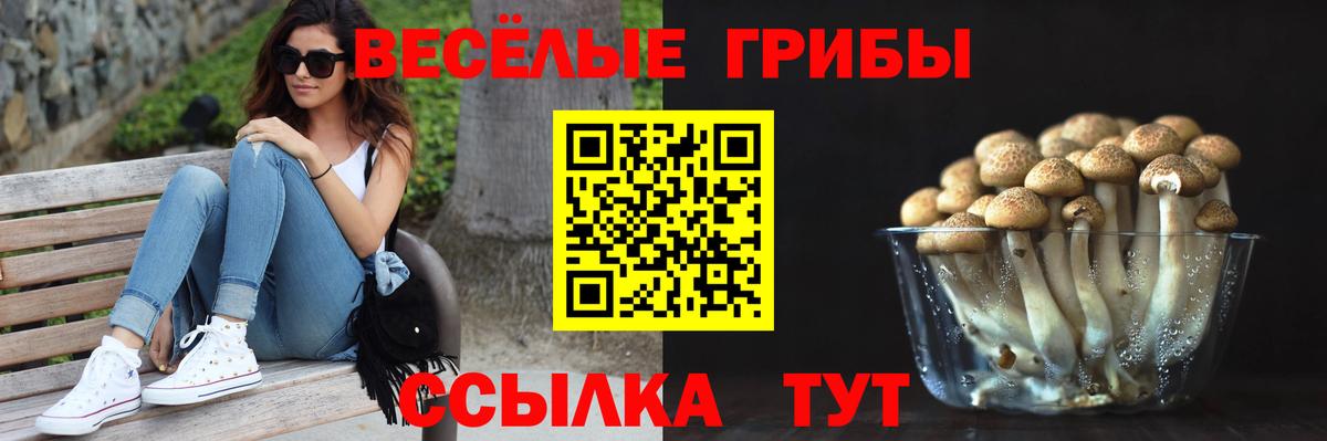 Азнакаево  Галлюциногенные грибы прущие грибы  Вход с VPN 